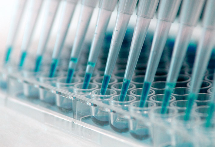 Commitment to Diabetes Research